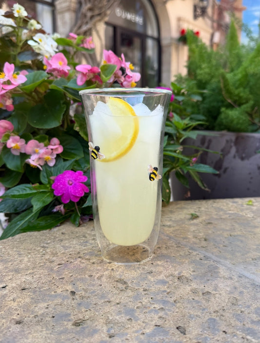 Large Tumbler (Set of 2)