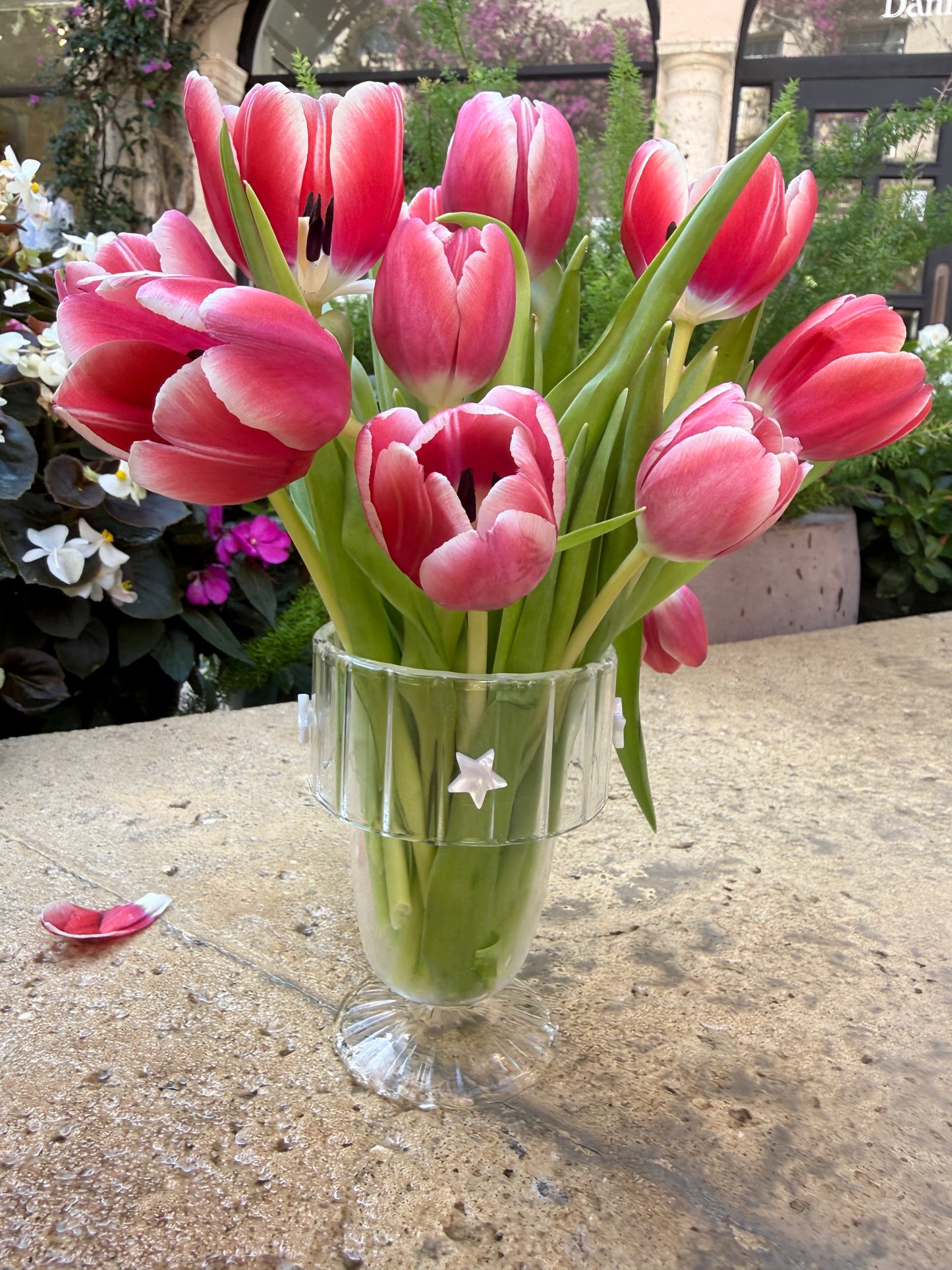Wish Upon a Star (Set of 4)