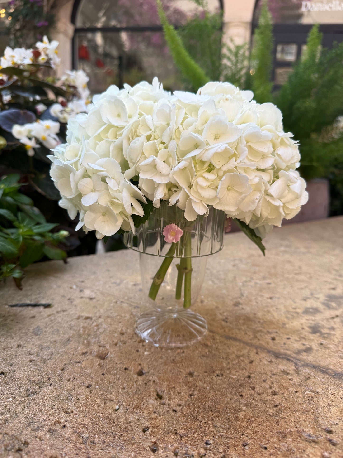 Flower Power (Set of 4)