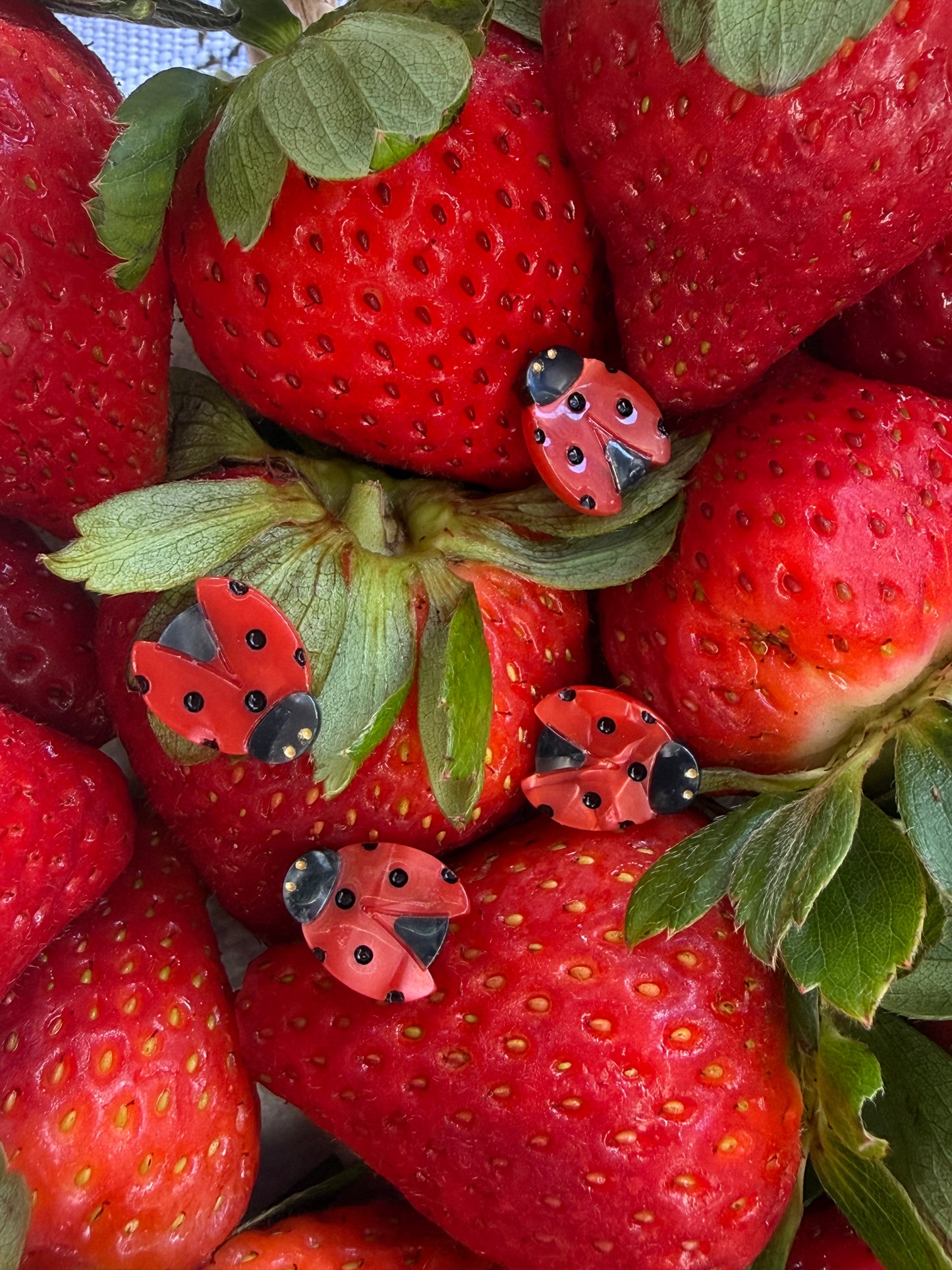 Lovely Ladybug (Set of 4)