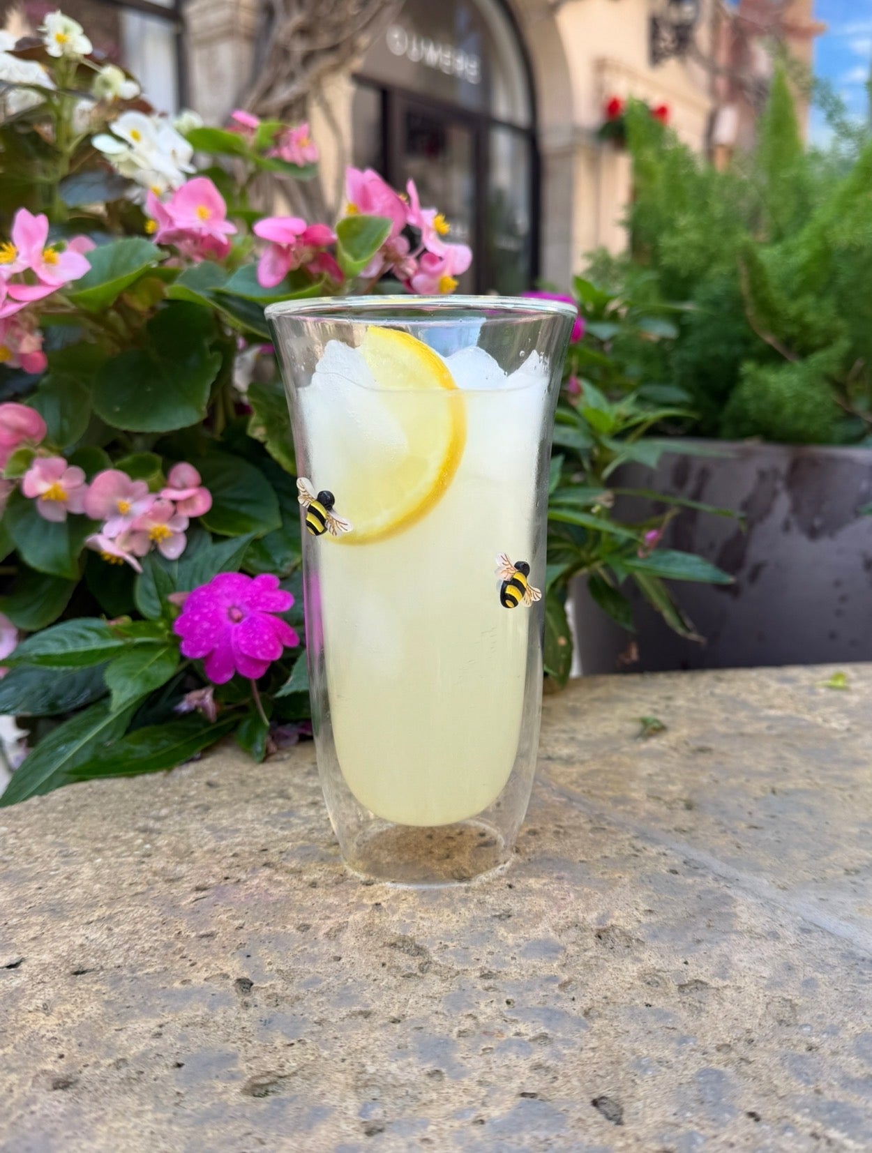 Large Tumbler (Set of 2)