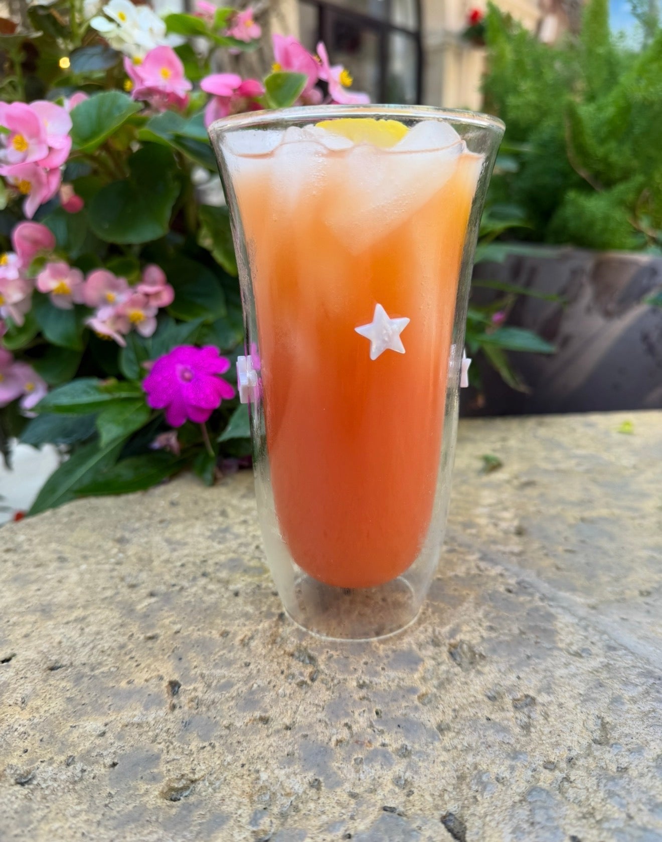 Large Tumbler (Set of 2)
