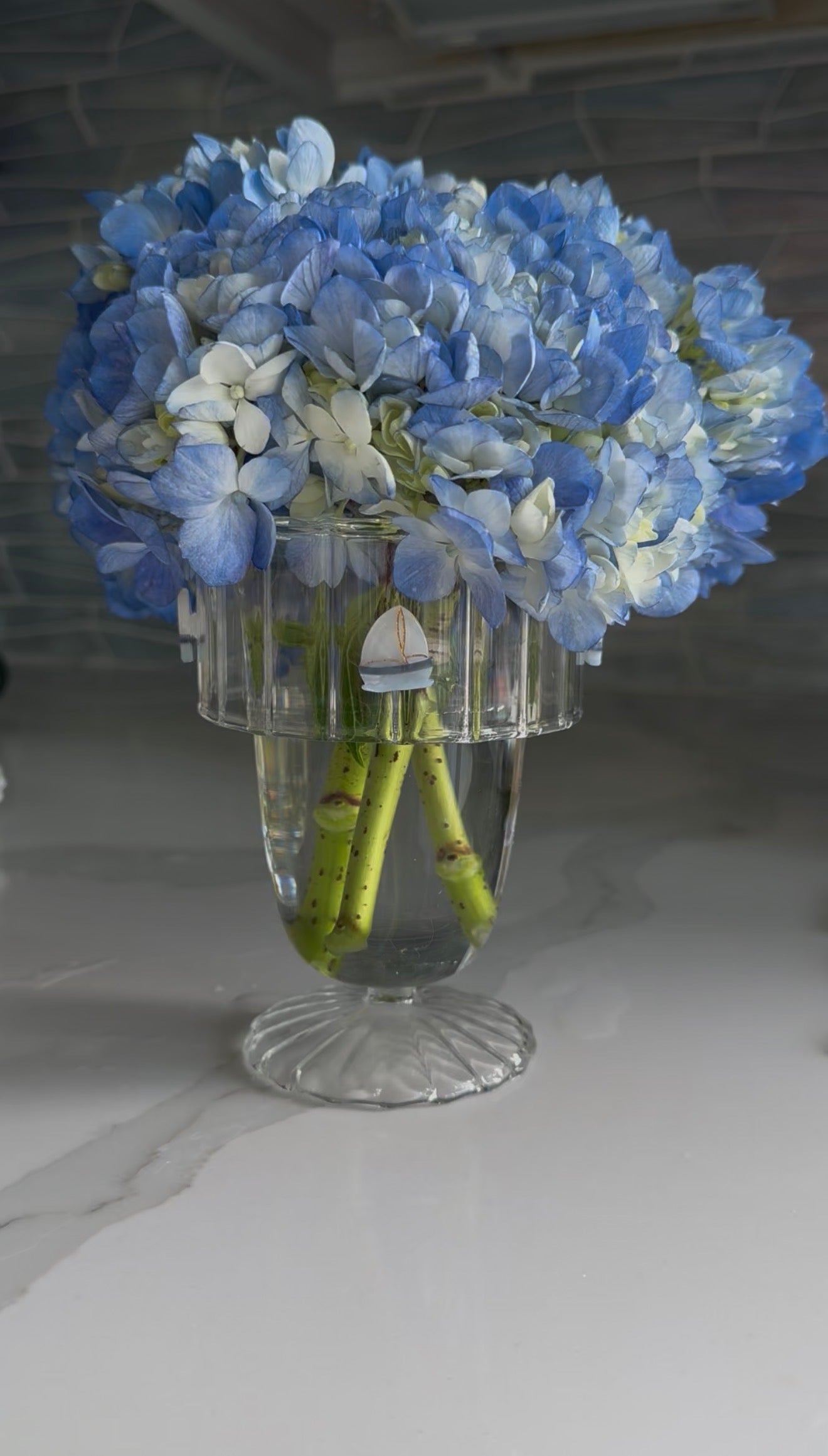 Sail Away (Set of 4)